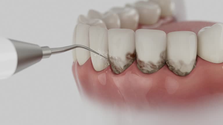 Reliable Dental contractor in Logan Elm Village, OH by Dentist Open Now